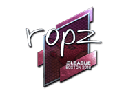 ropz (Foil) | Boston 2018
