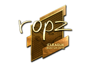 ropz (Gold) | Boston 2018