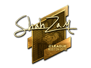 ShahZaM (Gold) | Boston 2018
