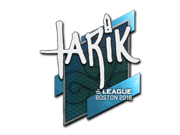 tarik | Boston 2018