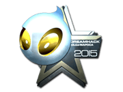 Team Dignitas (Foil) | Cluj-Napoca 2015