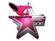 mousesports (Foil) | Cluj-Napoca 2015