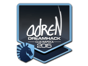 adreN | Cluj-Napoca 2015