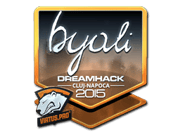 byali (Foil) | Cluj-Napoca 2015