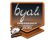 byali | Cluj-Napoca 2015