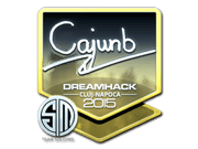 cajunb (Foil) | Cluj-Napoca 2015