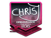 chrisJ (Foil) | Cluj-Napoca 2015