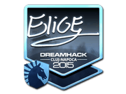 EliGE (Foil) | Cluj-Napoca 2015