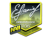 flamie (Foil) | Cluj-Napoca 2015