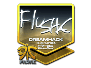 flusha (Foil) | Cluj-Napoca 2015