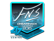 FNS (Foil) | Cluj-Napoca 2015