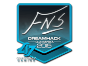 FNS | Cluj-Napoca 2015