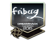 friberg (Foil) | Cluj-Napoca 2015