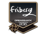 friberg | Cluj-Napoca 2015