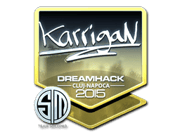 karrigan (Foil) | Cluj-Napoca 2015