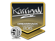 karrigan | Cluj-Napoca 2015