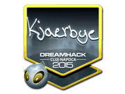 Kjaerbye (Foil) | Cluj-Napoca 2015