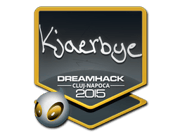 Kjaerbye | Cluj-Napoca 2015