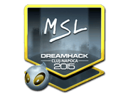 MSL (Foil) | Cluj-Napoca 2015