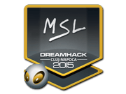 MSL | Cluj-Napoca 2015