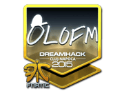olofmeister (Foil) | Cluj-Napoca 2015