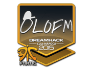 olofmeister | Cluj-Napoca 2015