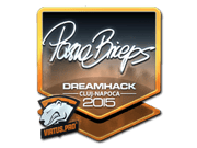 pashaBiceps (Foil) | Cluj-Napoca 2015