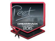 peet (Foil) | Cluj-Napoca 2015