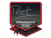peet | Cluj-Napoca 2015