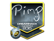 Pimp (Foil) | Cluj-Napoca 2015