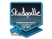 Skadoodle | Cluj-Napoca 2015
