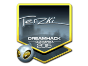 tenzki (Foil) | Cluj-Napoca 2015