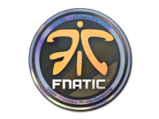 Fnatic (Holo) | Cologne 2014