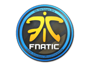Fnatic | Cologne 2014