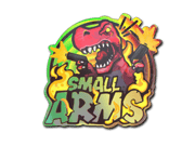 Small Arms (Holo)