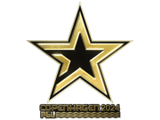 Complexity Gaming (Gold) | Copenhagen 2024