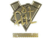 FL1T (Gold) | Copenhagen 2024