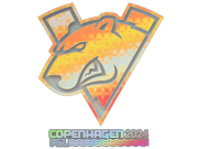 Virtus.pro (Holo) | Copenhagen 2024