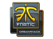 Fnatic (Foil) | DreamHack 2014