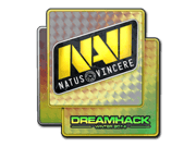Natus Vincere (Holo) | DreamHack 2014