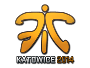 Fnatic (Holo) | Katowice 2014