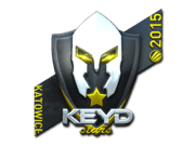 Keyd Stars (Foil) | Katowice 2015