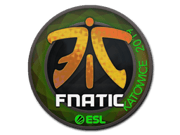 Fnatic (Holo) | Katowice 2019