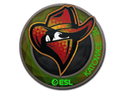 Renegades (Holo) | Katowice 2019