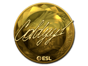 COLDYY1 (Gold) | Katowice 2019