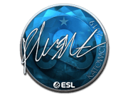 flusha (Foil) | Katowice 2019
