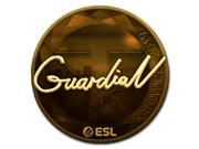 GuardiaN (Gold) | Katowice 2019