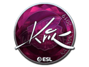 Kvik (Foil) | Katowice 2019