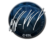 NAF (Foil) | Katowice 2019