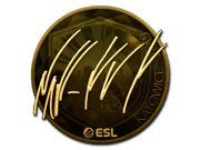 NAF (Gold) | Katowice 2019